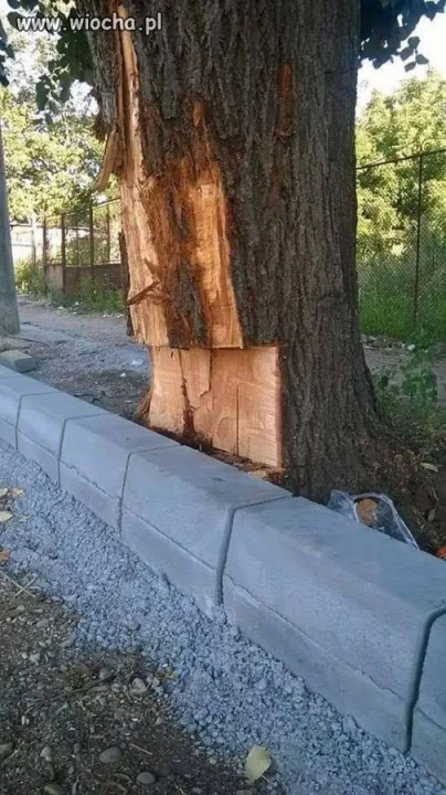 I weź tu nie oceniaj ludzi po zawodzie...