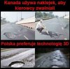 Smutne ale prawdziwe.