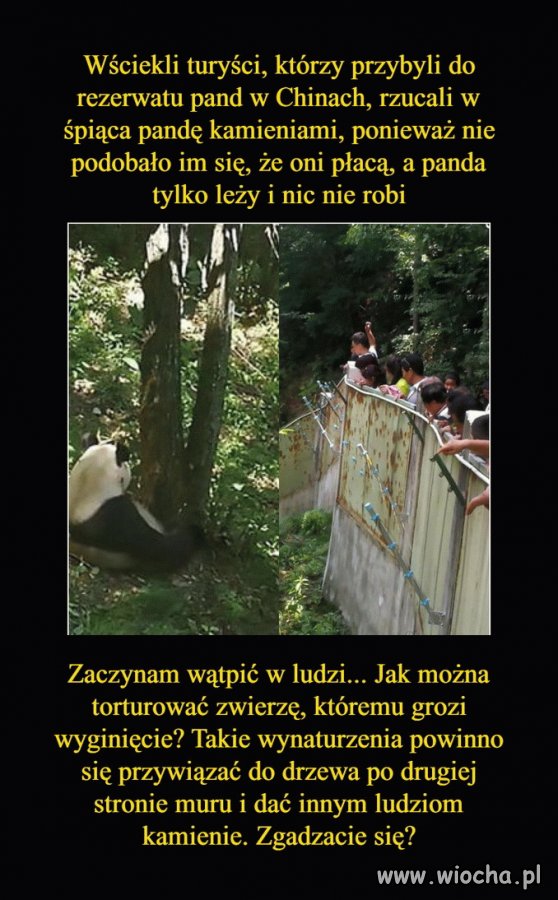 Brak słów