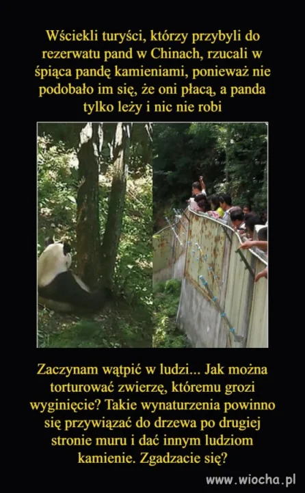 Brak słów
