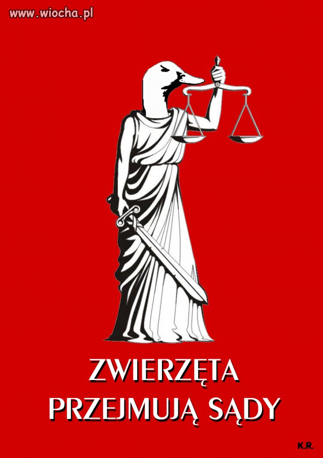 Zwierzęta przejmują SĄDY