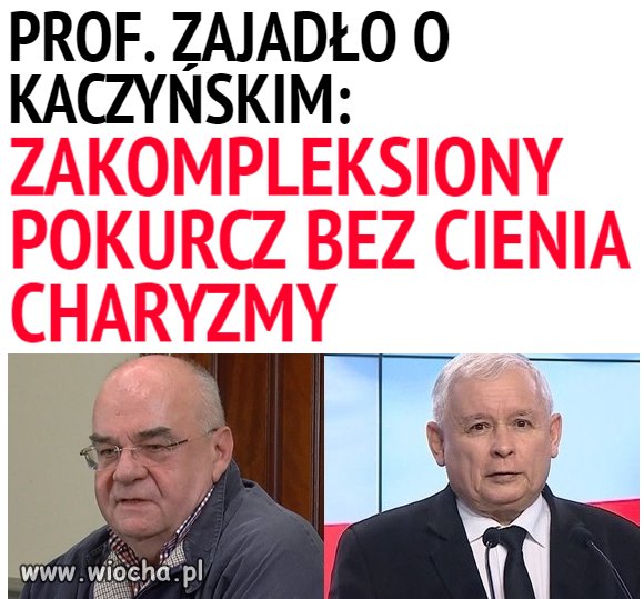 Profesor