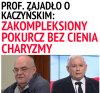 Profesor