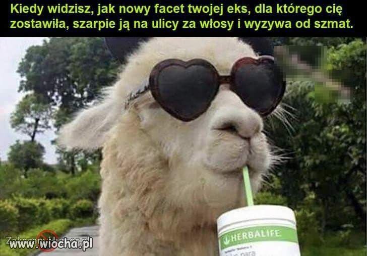 Takie życie 