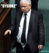 Suweren na jednym obrazku