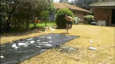 Nie trafił