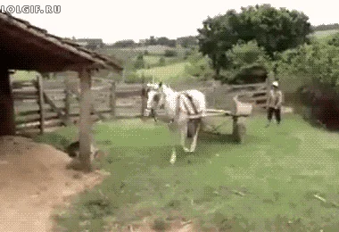 Wspomagane parkowanie !!!