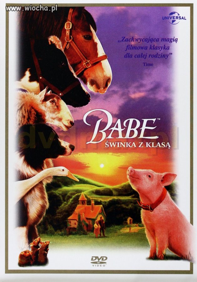 Ulubiony film wyborców na świecie 