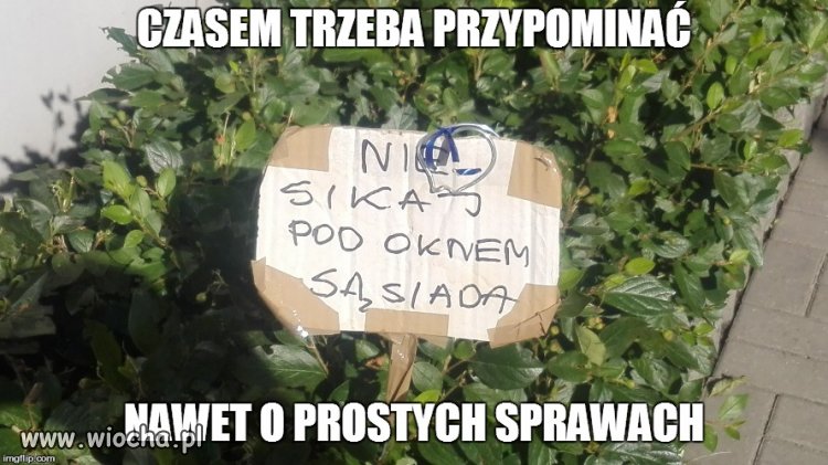 Na deszcz nie zawsze możesz liczyć
