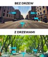 Drzewa generują koszty - przycinanie, usuwanie liści...