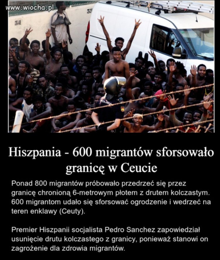 A ja bym proponował usunąć muzułmańskich imigrantów
