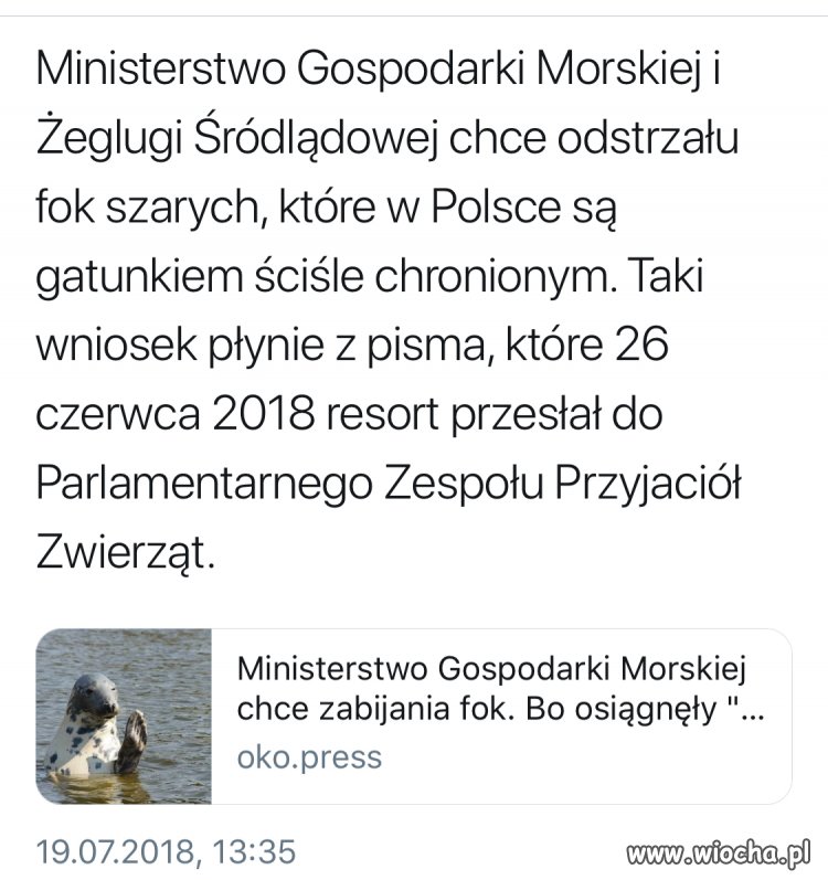 Zabijanie w majestacie prawa