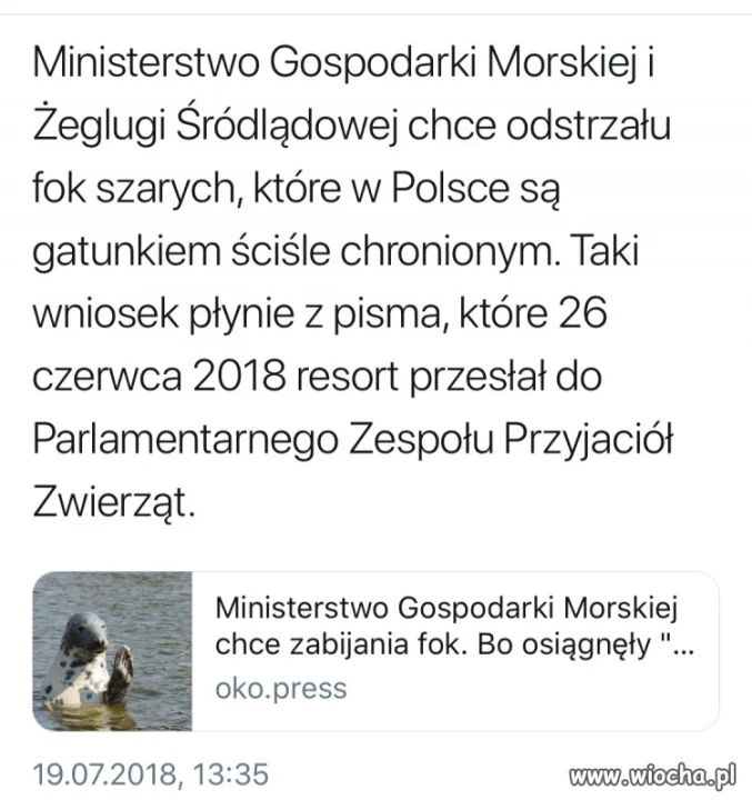 Zabijanie w majestacie prawa