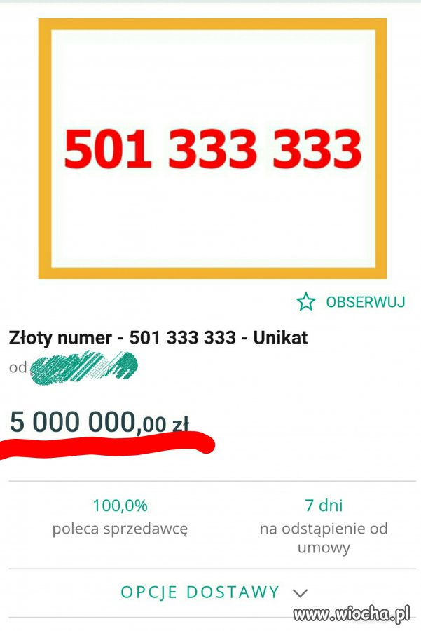 Gdy Janusz postanawia zarobić na Allegro