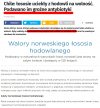 Łosoś norweski...