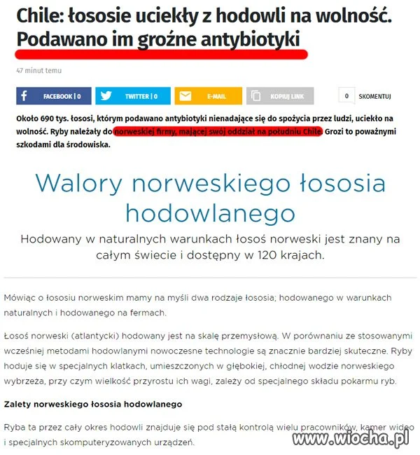 Łosoś norweski...