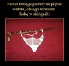 Coś dla 