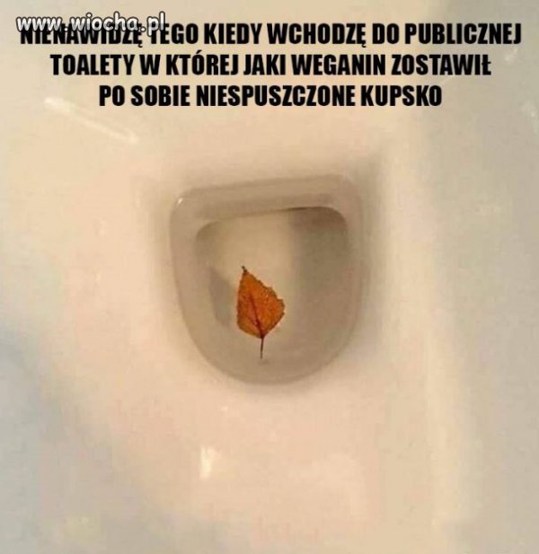 Szczyt chamstwa!