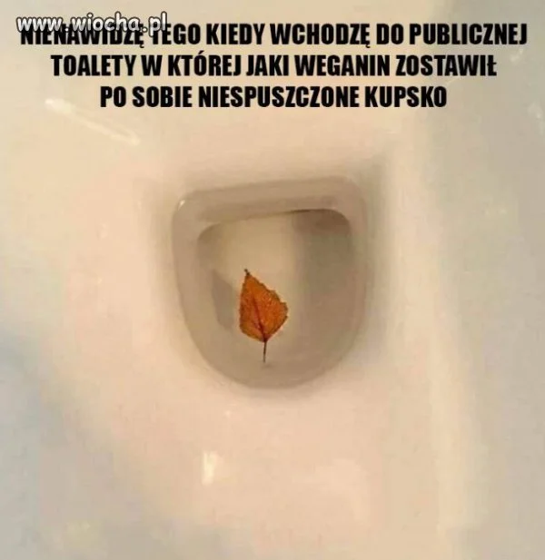 Szczyt chamstwa!