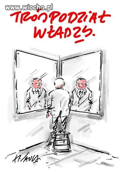 Podział władzy według PiS 