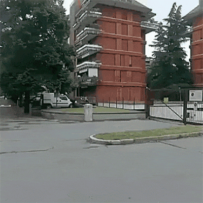 Tarika ...