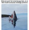 Podwodne