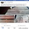 Uczta się polska mowa 