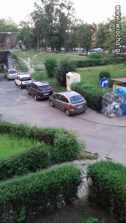 Mistrzyni parkowania 