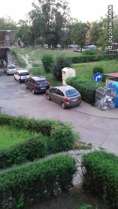 Mistrzyni parkowania 