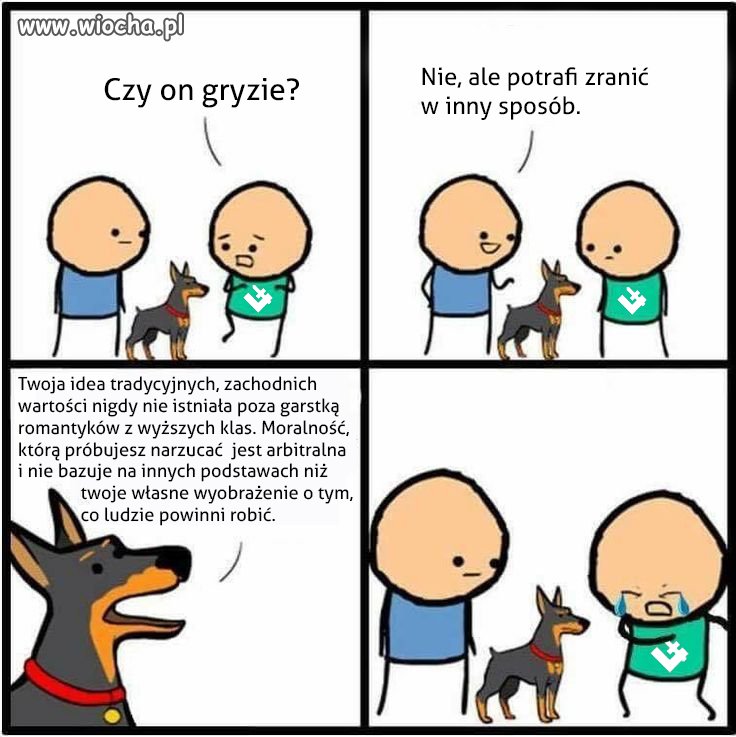 Zły pies