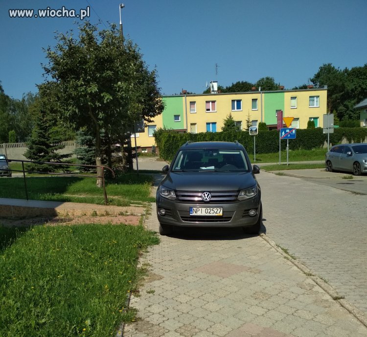 Mistrz parkowania