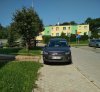 Mistrz parkowania