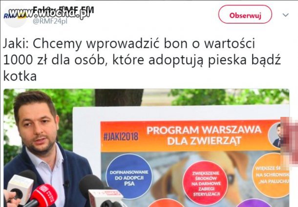 Już widzę kolejki patoli pod schroniskami