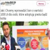 Już widzę kolejki patoli pod schroniskami