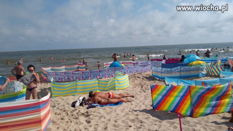 Zagroda dla bydła...