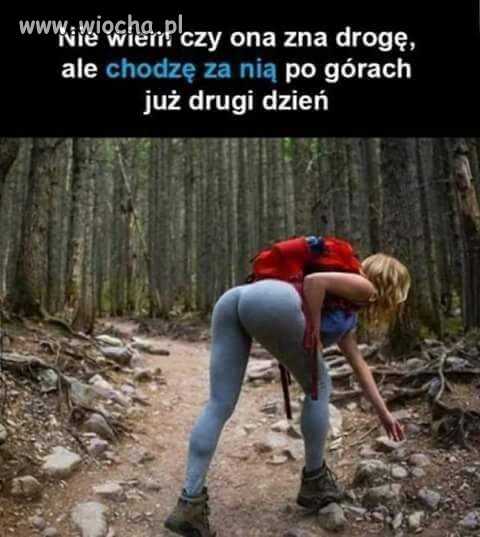 Może pielgrzymka jakaś 