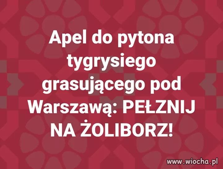 Apel...