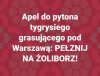 Apel...