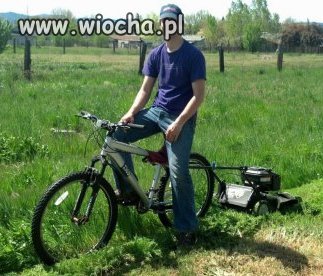 Się kosi się...