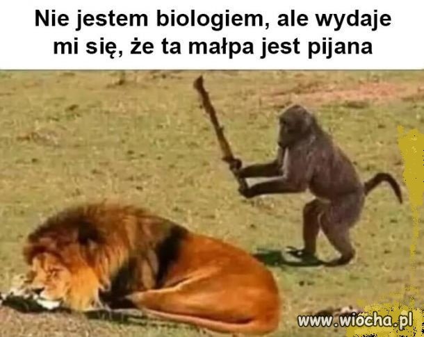 Prawa biologii 