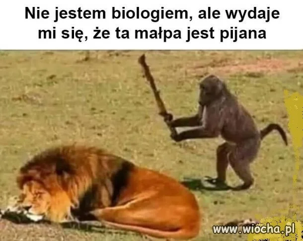 Prawa biologii 