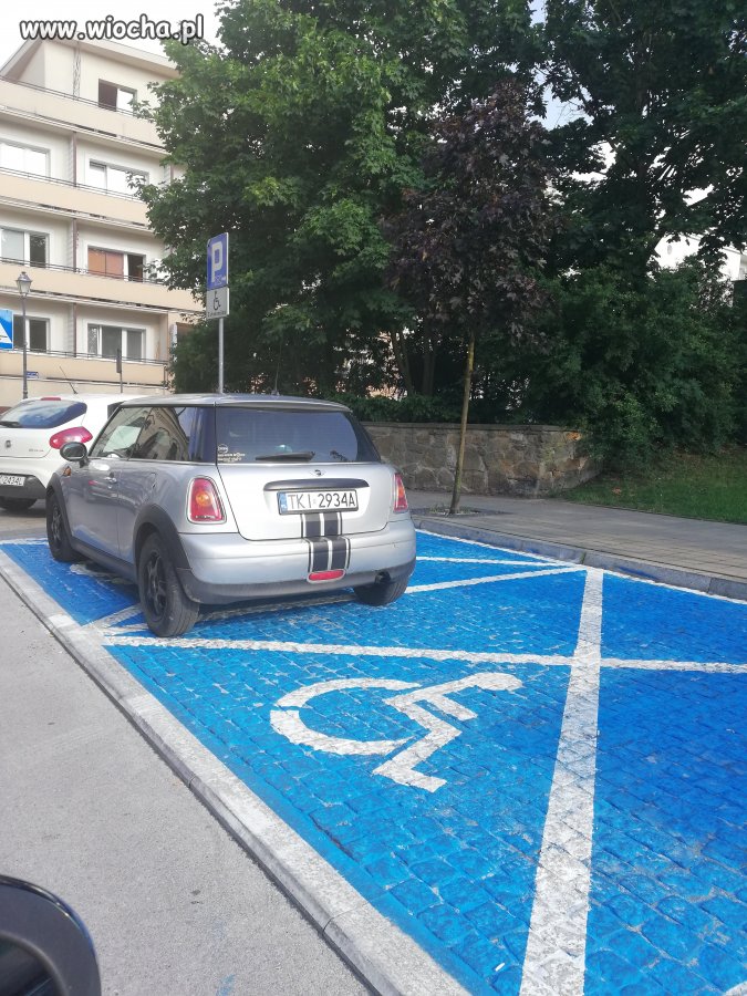Mistrz parkowania 