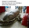 Dramat w Warszawie 