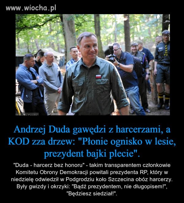 Płonie ognisko w lesie
