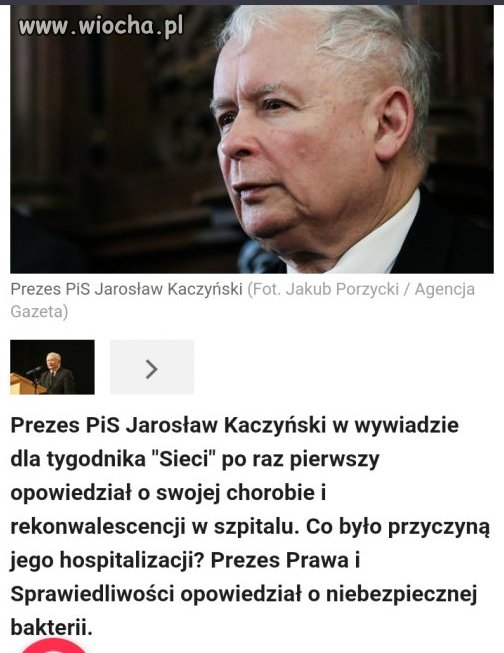 Bakteria co się zwie