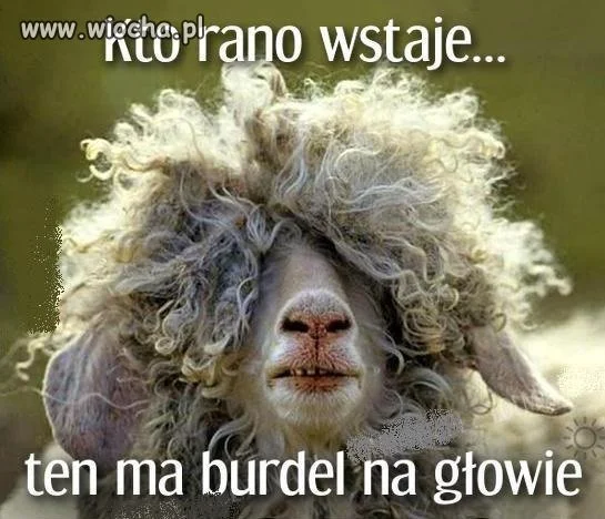 Kto rano wstaje
