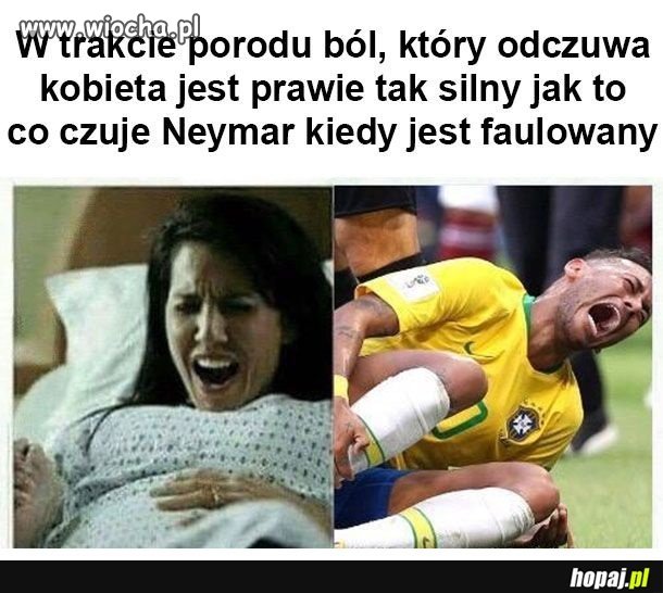 Mistrzostwo symulacji