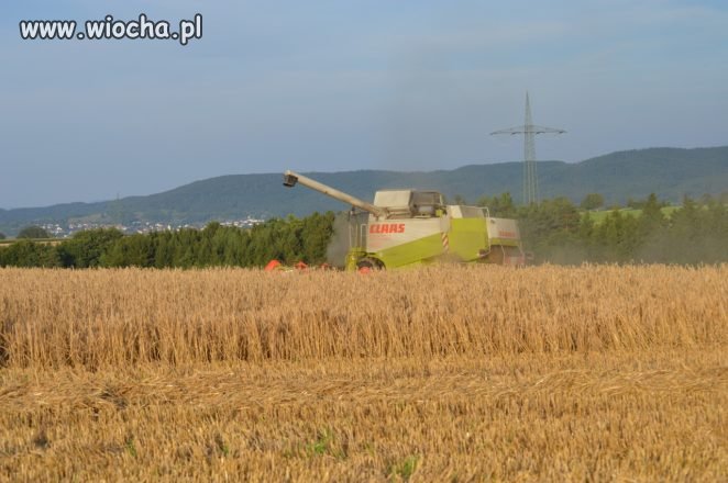 Pan Karol z Oławy dostał 500 zł mandatu 