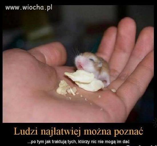Komentarz zbędny