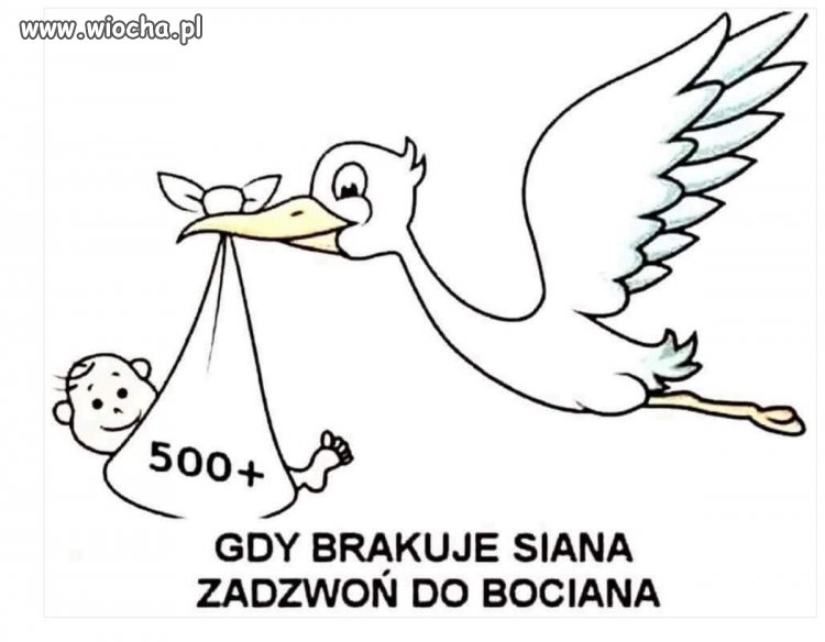 Gdy brakuje siana...
